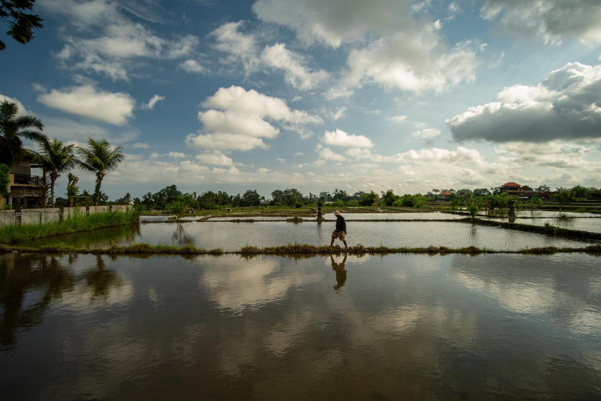 Kubu Sari Ubud Eksteriør billede